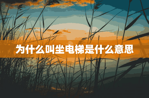 为什么叫坐电梯是什么意思